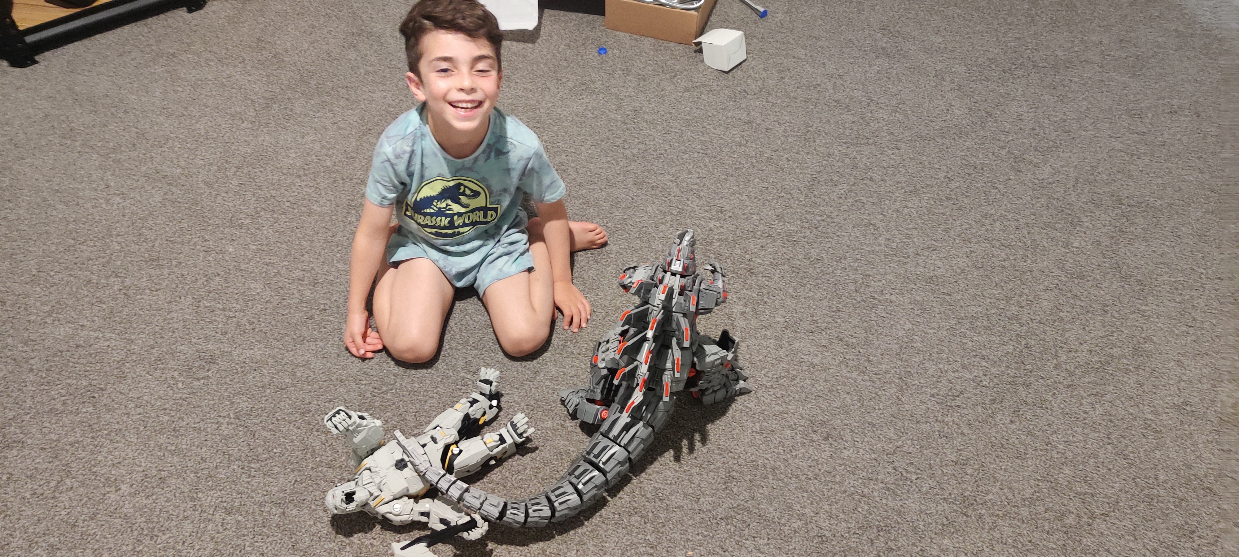 Large complex printed assembly