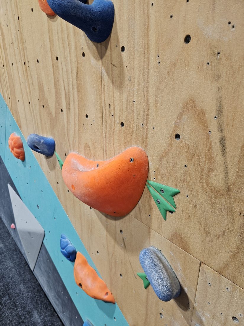 Green printed route start markers installed on a timber climbing wall at Beta Climbing Gym.