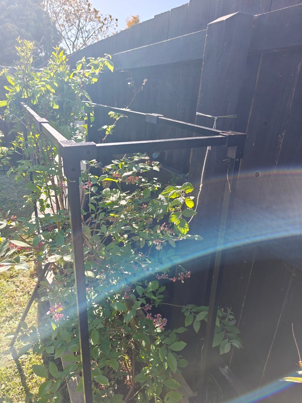 Printed three-way corner connectors holding the top rails and posts of the frame over a blueberry bush.